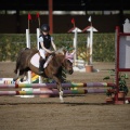 Poni club