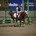 Poni club