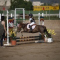 Poni club