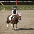 Poni club