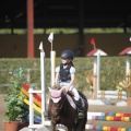 Poni club