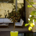 Agora, Proyectos interiorismo Castellón