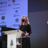 Premios Jesús Medrano-Ciudad de Castellón