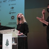 Premios Jesús Medrano-Ciudad de Castellón