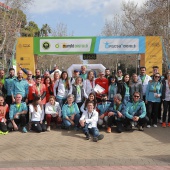 Marató bp Castelló y 10K FACSA Castelló