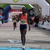 Marató bp Castelló y 10K FACSA Castelló