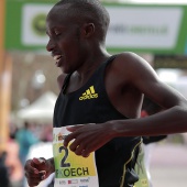 Marató bp Castelló y 10K FACSA Castelló