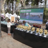 Marató bp Castelló y 10K FACSA Castelló