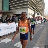 Marató bp Castelló y 10K FACSA Castelló