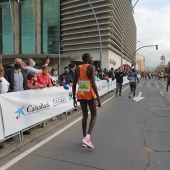 Marató bp Castelló y 10K FACSA Castelló