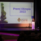 Premios Castelló