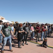 Concerts Al Port