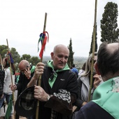 Romería de Les Canyes