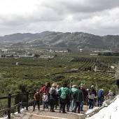 Romería de Les Canyes