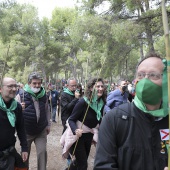 Romería de Les Canyes