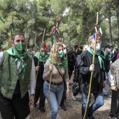 Romería de Les Canyes