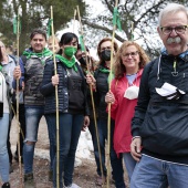 Romería de Les Canyes