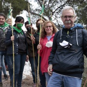 Romería de Les Canyes