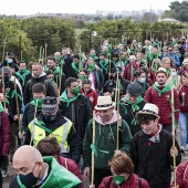 Romería de Les Canyes