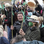 Romería de Les Canyes