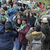 Romería de Les Canyes