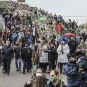 Romería de Les Canyes