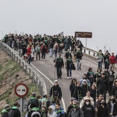 Romería de Les Canyes