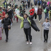 Romería de Les Canyes