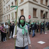 Romería de Les Canyes