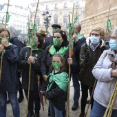 Romería de Les Canyes