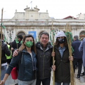 Romería de Les Canyes