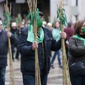 Romería de Les Canyes