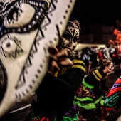 Desfile de animación