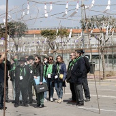 Mascletà domingo