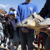 Tortuga Paz