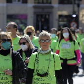 VI Marcha Contra el Cáncer