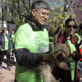 VI Marcha Contra el Cáncer