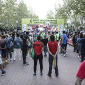 XXXVII Mitja Marató de Castelló