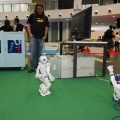 Castellón, Meeting Gamers