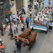 Fiestas patronales