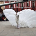 Vila-Real, Teatre de Carrer