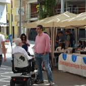 Fira del Llibre Benicàssim