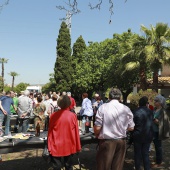 Festividad de San Isidro