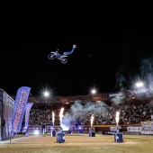 freestyle motocross