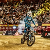 freestyle motocross