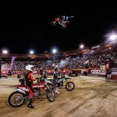 freestyle motocross