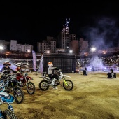 freestyle motocross