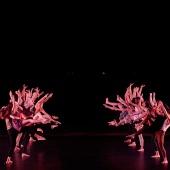 XXII Cita con la Danza