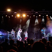 Concerts del Pinar