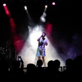 Concerts del Pinar